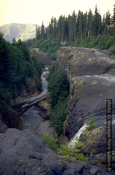 Lava Canyon au sud du Mount Saint Helens. Photo © André M. Winter