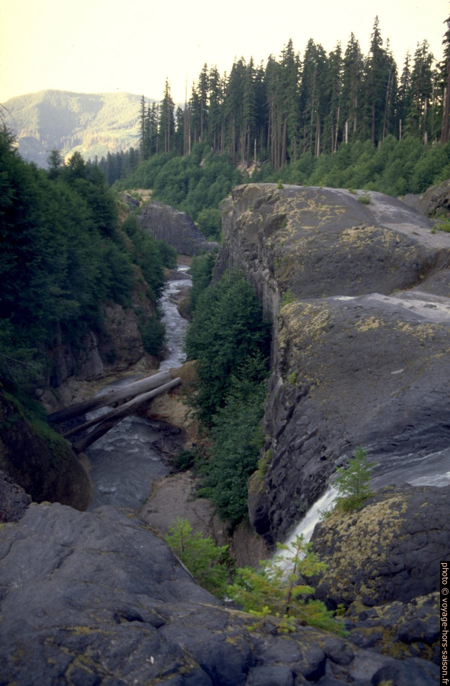 Lava Canyon au sud du Mount Saint Helens. Photo © André M. Winter