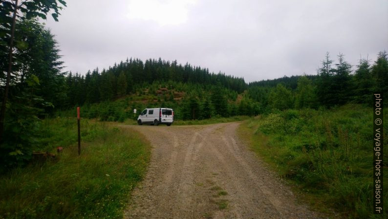 Notre trafic à un croisement de pistes forestières dans le Waldviertel. Photo © André M. Winter