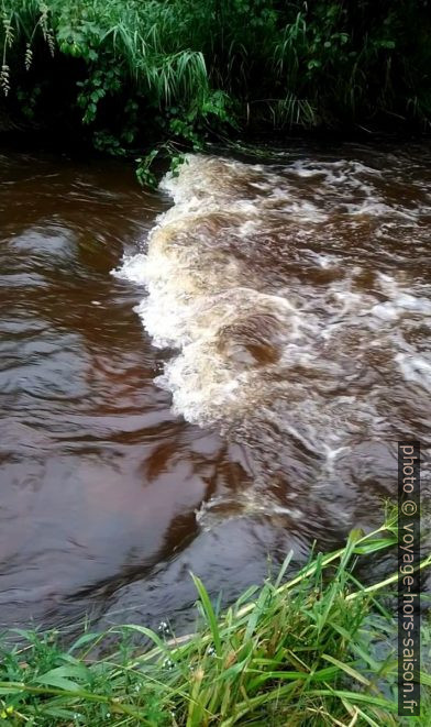 Une vague de l'eau brunde du Schwarzaubach. Photo © André M. Winter