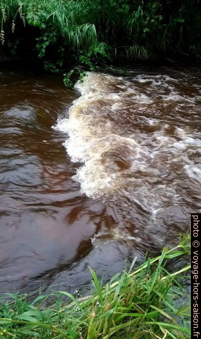 Une vague de l'eau brunde du Schwarzaubach. Photo © André M. Winter
