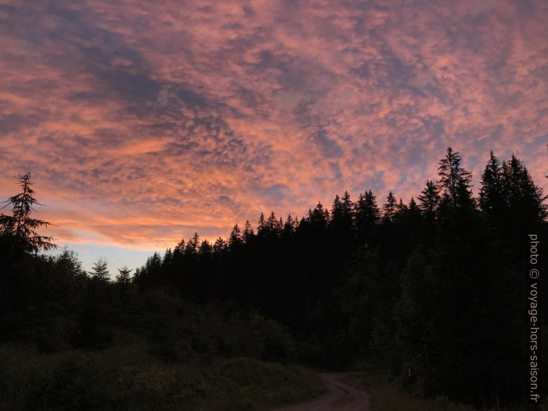 Nuages roses lors du coucher du soleil. Photo © Alex Medwedeff