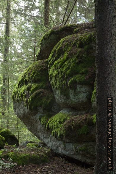 Grand rocher dans la forêt d'Altmelon. Photo © Alex Medwedeff