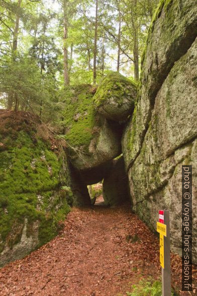 Une des grottes de Fahrthofer Höhlen à Altmelon. Photo © Alex Medwedeff