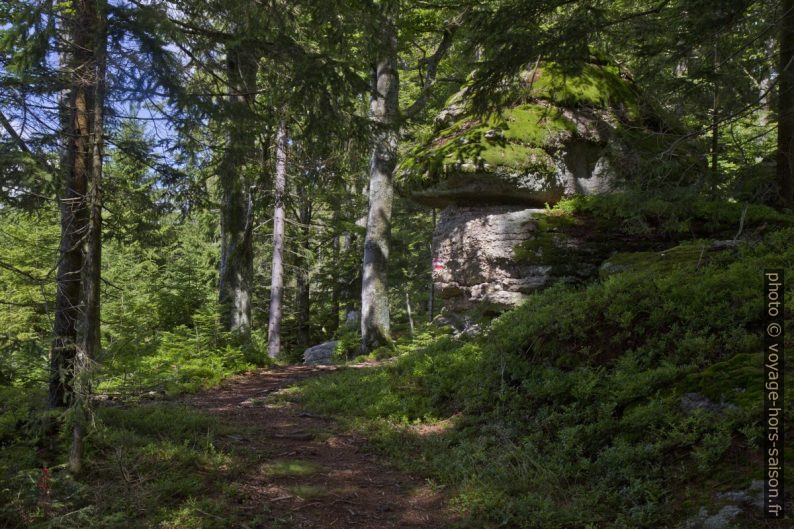 Rochers en forêt près d'Altmelon. Photo © Alex Medwedeff