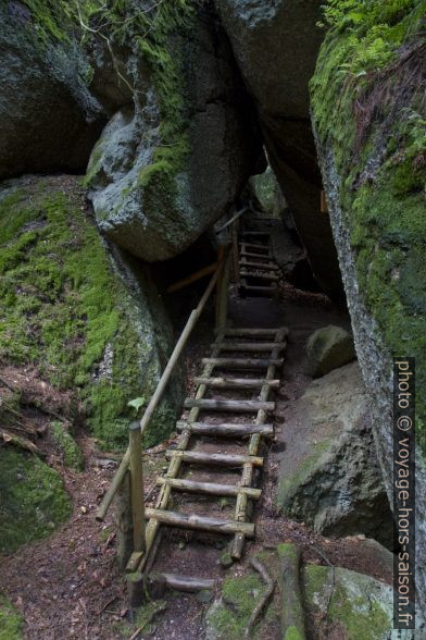 Échelle en bois dans la grotte Luaga-Lucka à Altmelon. Photo © Alex Medwedeff