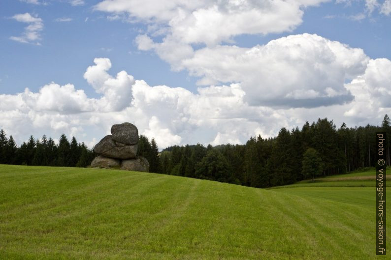 Rochers sur le pré de Gaubitzhof. Photo © Alex Medwedeff