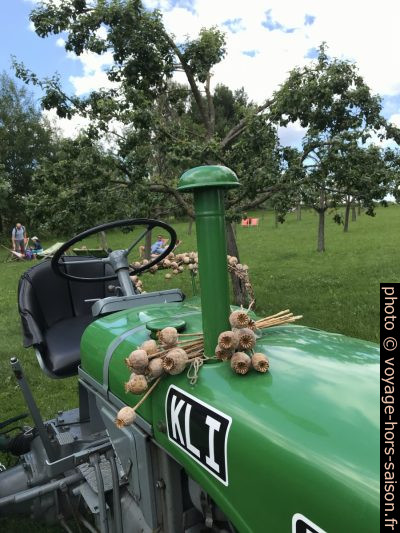 Vieux tracteur et capsules séchées de pavot. Photo © Alex Medwedeff