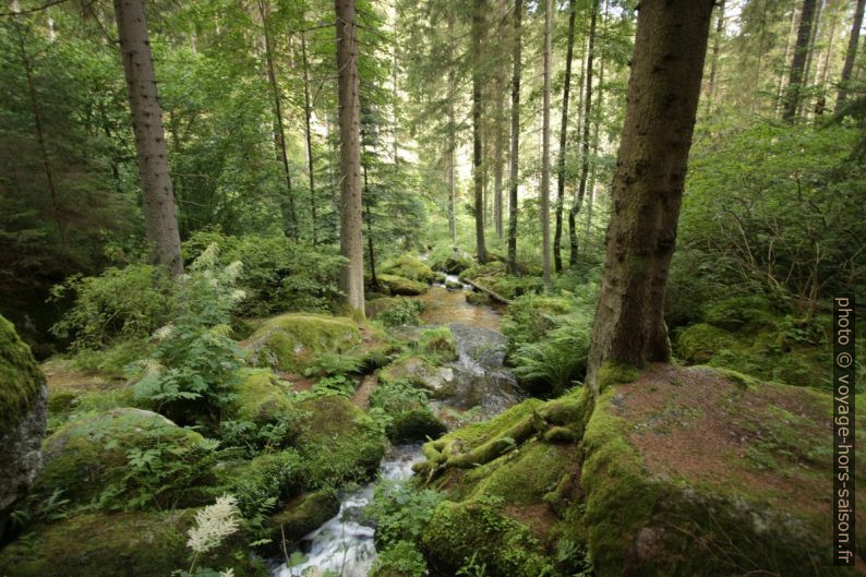 La rivière Lohnbach sous la cascade. Photo © André M. Winter