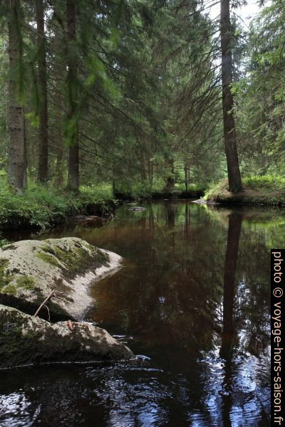La rivière Grosser Kamp en amont de la cascade Höllfall. Photo © Alex Medwedeff
