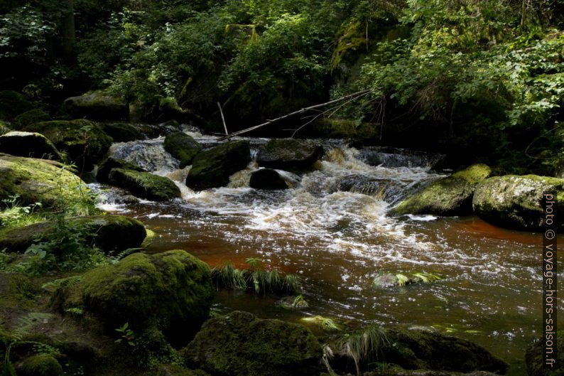 Cascade Höllfall sur la rivière Grosser Kamp. Photo © Alex Medwedeff