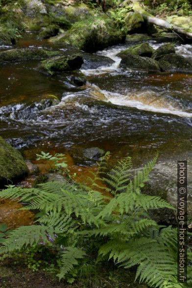 Cascade Höllfall sur la rivière Grosser Kamp. Photo © Alex Medwedeff