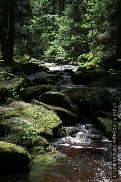 La rivière Grosser Kamp dans la partie Höllfall. Photo © Alex Medwedeff