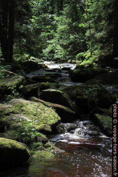 La rivière Grosser Kamp dans la partie Höllfall. Photo © Alex Medwedeff