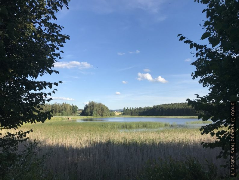 Schnönauer Teich. Photo © Alex Medwedeff