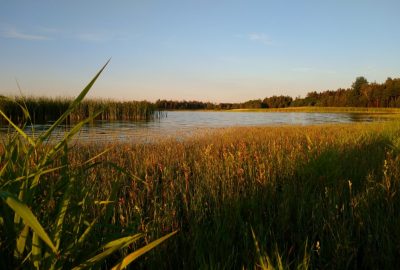 Rudmannser Teich. Photo © André M. Winter