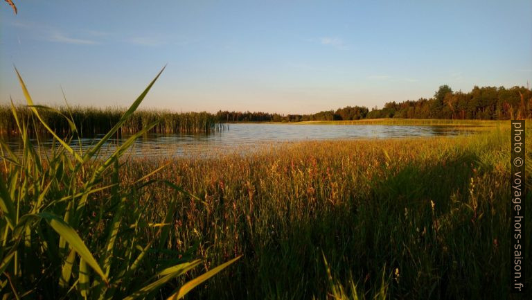 Rudmannser Teich. Photo © André M. Winter