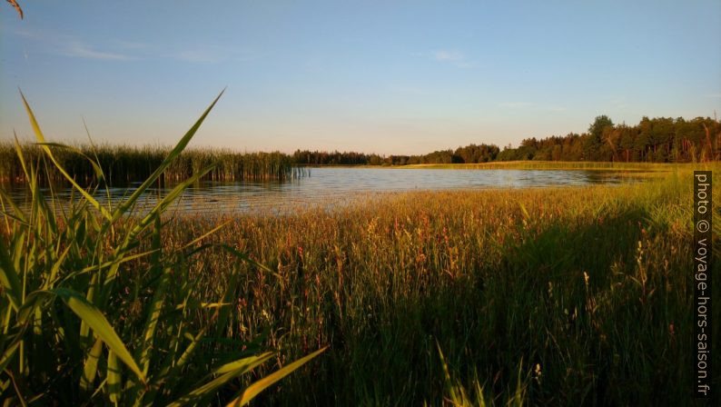 Rudmannser Teich. Photo © André M. Winter