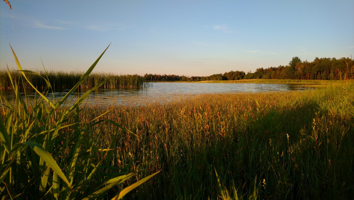 Rudmannser Teich. Photo © André M. Winter
