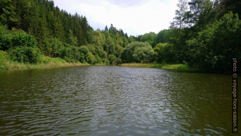 La branche du Purzelkamp . Photo © André M. Winter