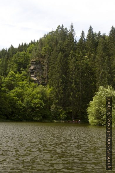 Les rivages sauvages du lac Ottensteiner Stausee. Photo © Alex Medwedeff