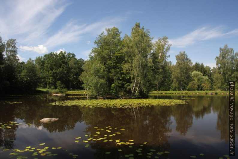 L'étang Blockheideteich à Gmünd. Photo © Alex Medwedeff