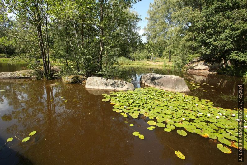 Rochers formant des îlots dans l'étang Blockheideteich. Photo © André M. Winter