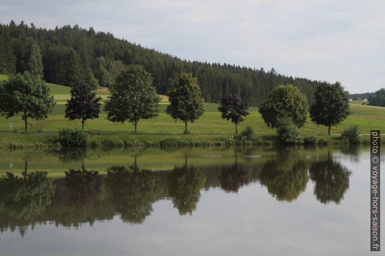 Berge des pêcheurs du lac Frauenwieserteich. Photo © Alex Medwedeff