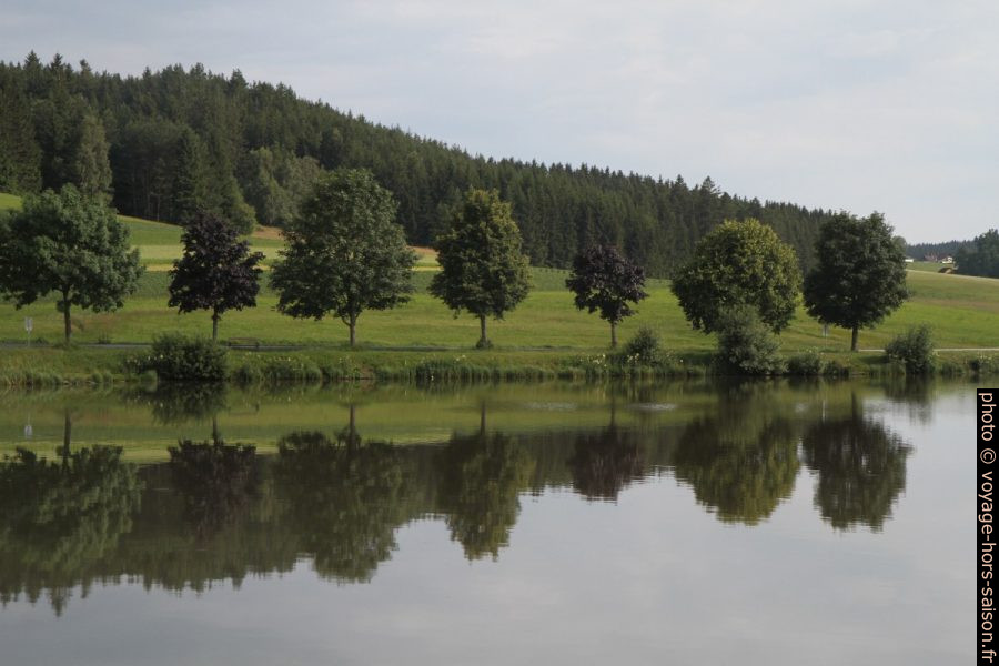 Berge des pêcheurs du lac Frauenwieserteich. Photo © Alex Medwedeff