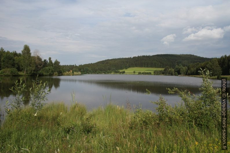 L'étang Frauenwieserteich. Photo © Alex Medwedeff