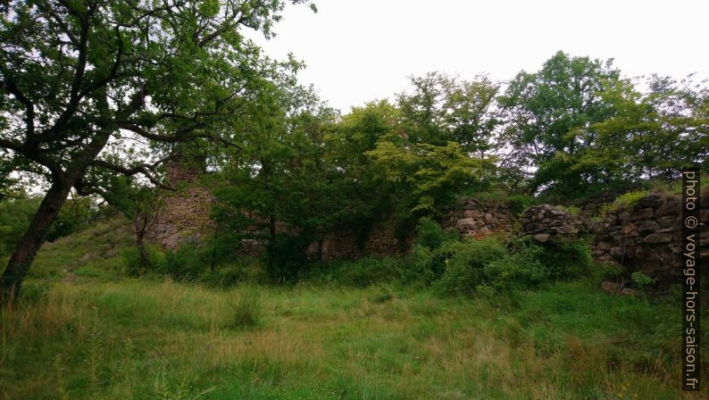 Cour du château de la ruine Schimmelsprung. Photo © André M. Winter