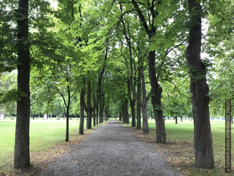 Allée dans le parc de Bad Deutsch-Altenburg. Photo © Alex Medwedeff