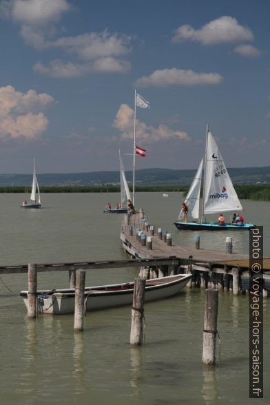 Quais de l'école de voile de Neusiedel. Photo © Alex Medwedeff