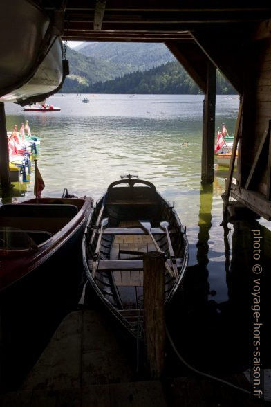 Bateaux à rames au lac Lunzer See. Photo © Alex Medwedeff