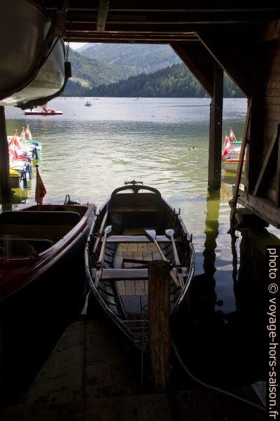Bateaux à rames au lac Lunzer See. Photo © Alex Medwedeff