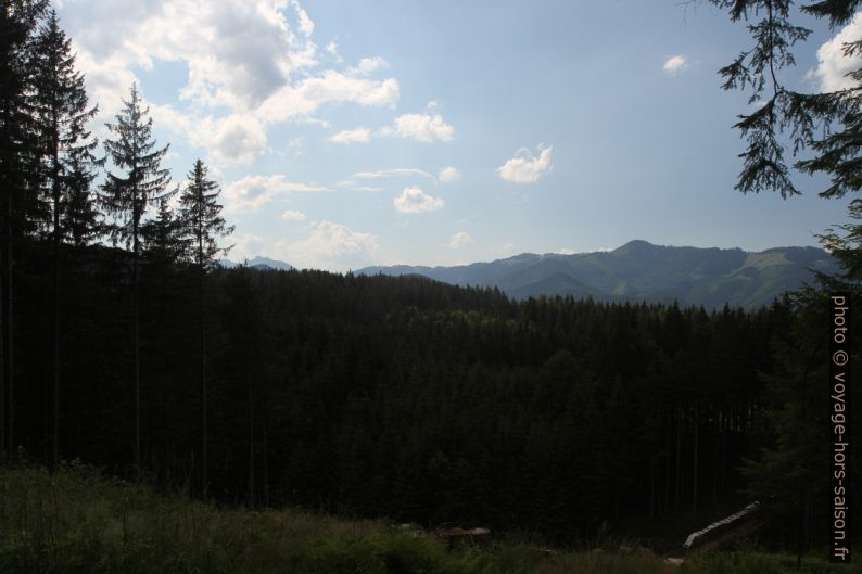 Vue vers le Schwarzkogel. Photo © Alex Medwedeff