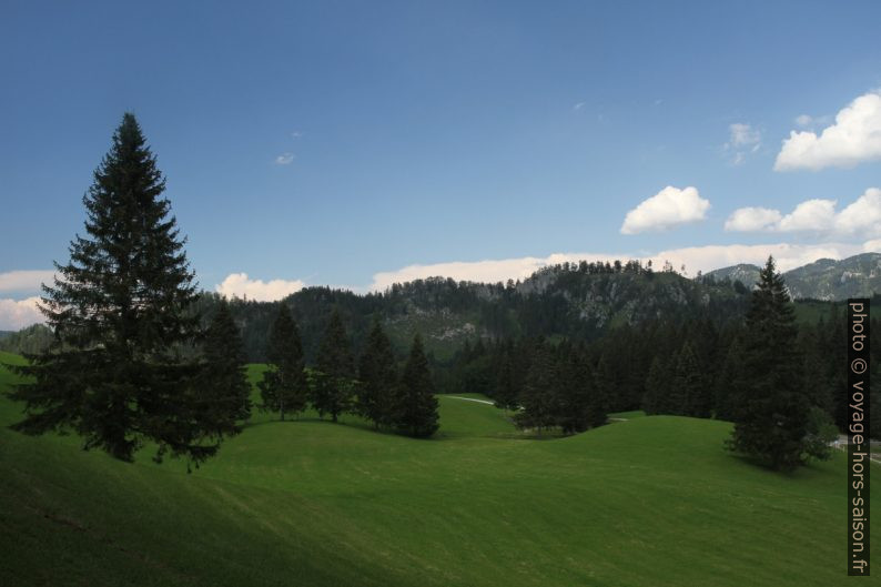 Prés ondulés de Hochreit. Photo © Alex Medwedeff