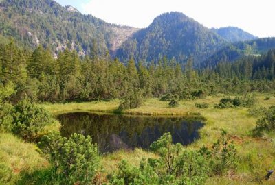 Le lac dans la tourbière Leckermoos. Photo © André M. Winter