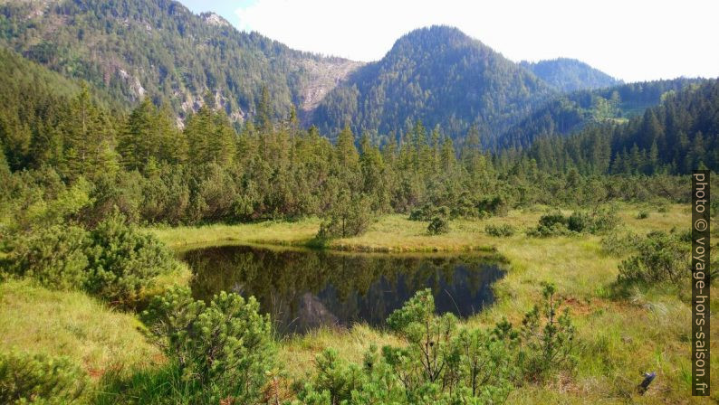 Le lac dans la tourbière Leckermoos. Photo © André M. Winter