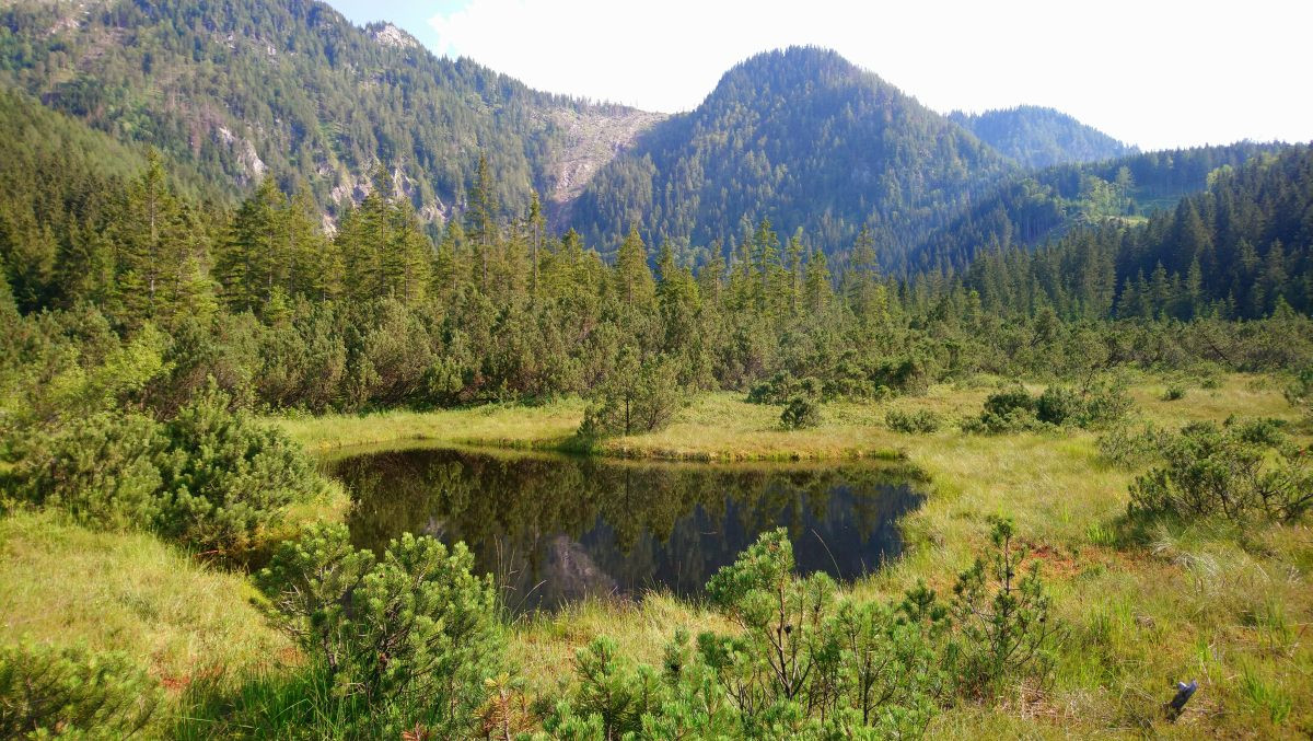 Le lac dans la tourbière Leckermoos. Photo © André M. Winter