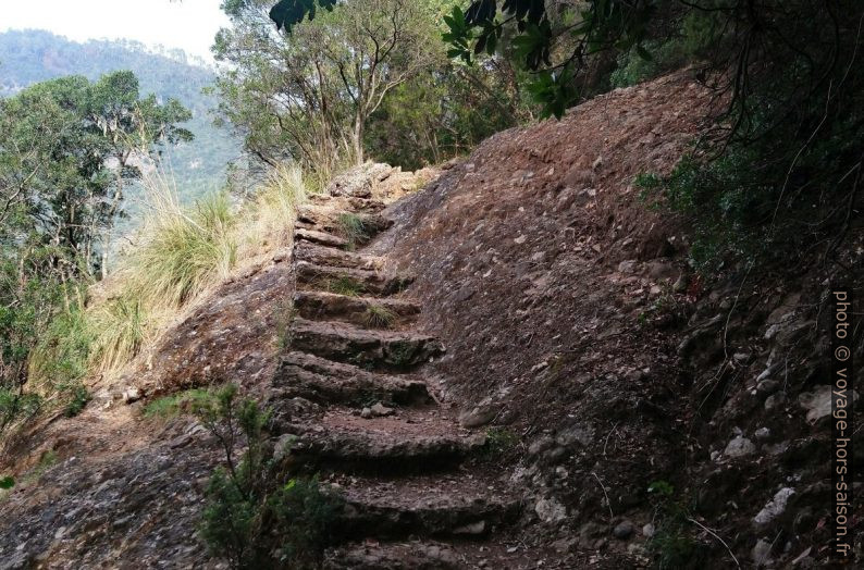 Marches du chemin entre San Fruttuoso et Base Zero. Photo © André M. Winter