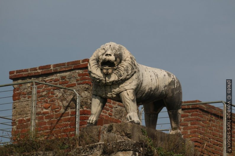 Le lion de la Porta del Leone. Photo © André M. Winter