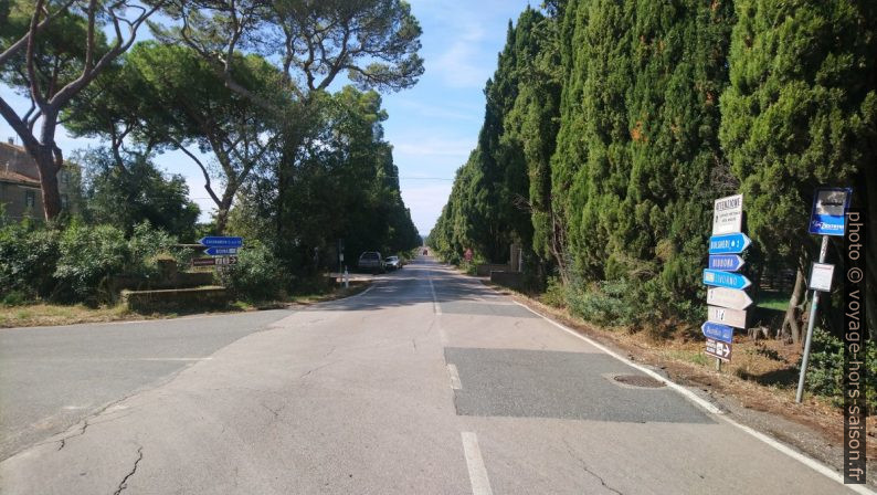 Bifurcation sur le Viale dei Cipressi a Bolgheri. Photo © André M. Winter