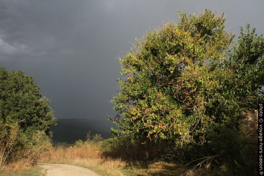 Ciel orgageux. Photo © Alex Medwedeff