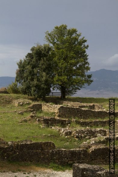 Ruines de l'acropole étrusque de Volterra. Photo © Alex Medwedeff