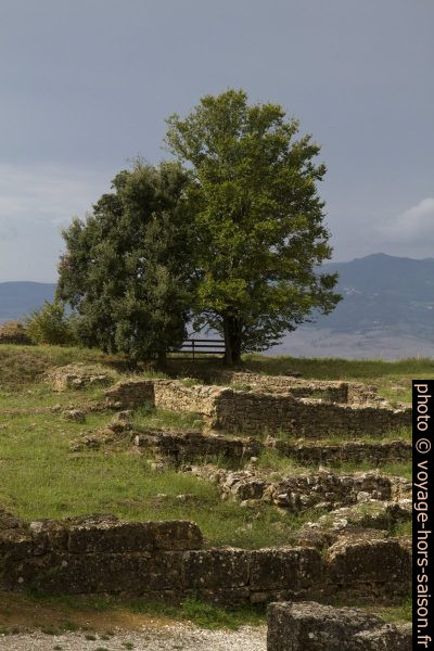 Ruines de l'acropole étrusque de Volterra. Photo © Alex Medwedeff