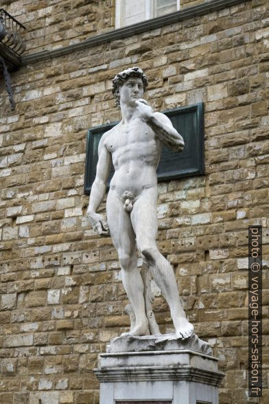 Copie du David de Michel-Ange devant le Palazzo Vecchio. Photo © Alex Medwedeff