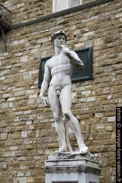 Copie du David de Michel-Ange devant le Palazzo Vecchio. Photo © Alex Medwedeff