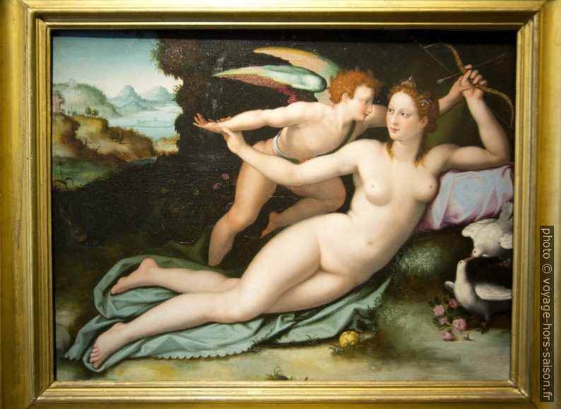 Venere e Cupido, Alessandro Allori, vers 1507. Photo © André M. Winter