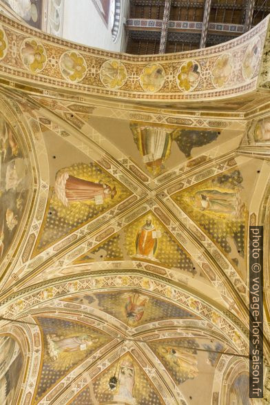 Voûtes peintes d'une chapelle latérale de l'église Santa Croce de Florence. Photo © Alex Medwedeff